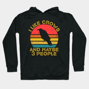 I Like Crows and Maybe 3 People Hoodie